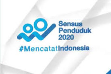 Sensus Penduduk Online...