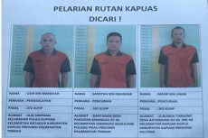 Saat Pandemi Covid-19,...