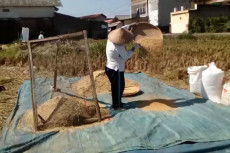 Penyuluh-Petani Dukung...