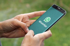 Forward Pesan di WhatsApp...