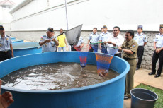 KKP Berikan Stimulus...