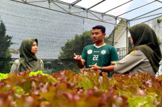 Bikin Bangga, Baru Lulus...