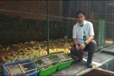 Donasi Pakan untuk Satwa...
