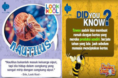Happy Mengajak Anak...