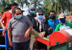 Beras Bansos untuk Warga...