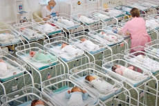Puluhan Bayi Hasil Program...