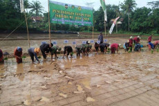 Antisipasi Lonjakan...
