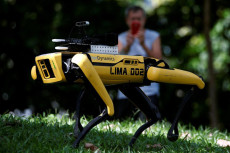 Singapura Kerahkan Robodog...