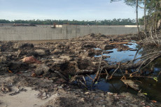 Pembangunan Kanal PT...