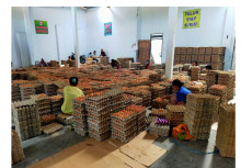Kementan: Harga Ayam...