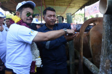 Kementan: Pandemi Tak...