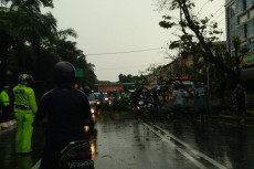 Hujan Angin, Baliho...