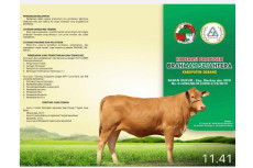 Kementan: Brahman Sejahtera,...