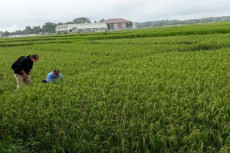 Bupati Kulonprogo Jamin...