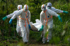 Ebola Merebak di Kongo,...