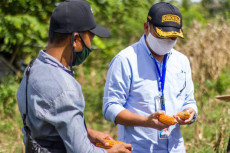 Bupati Hamim Minta Petani...