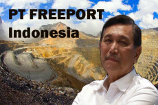 Luhut: Pemerintah Akan...