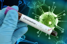 Wabah Virus Corona di...