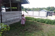 Sebelum Jatuh ke Tanah,...