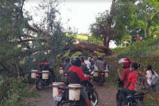 Jalan Tertutup Pohon...