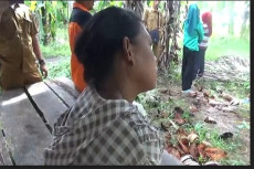 Nasib Pilu Penyandang...