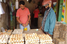 Harga Telur Ayam Melambung...