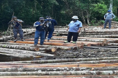Aparat Gabungan Buru...