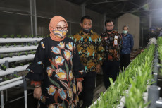 Serap 70% Pekerja, Kemnaker...
