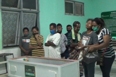 Terserang Demam Berdarah,...
