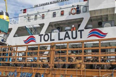 Tol Laut Dukung Pasokan...
