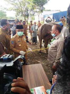 Bupati Pasangkayu Terima...