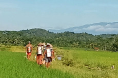 Terapkan Teknologi Climate...