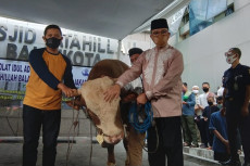 Idul Adha 1441 H, Pemprov...