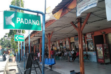 Pandemi Covid-19, Pemudik...
