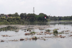DLH Tangsel: Limbah...
