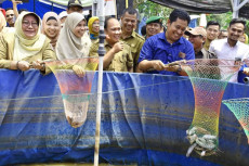 Produksi Ikan Banyuasin...