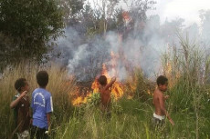 Anak-anak Papua Berjibaku...