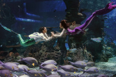 Agustusan, Jakarta Aquarium...