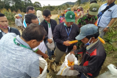 Program Entercrop, Kelompok...