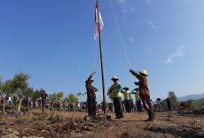 Agustusan Ala Petani...