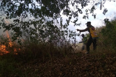 Lereng Gunung Ciremai...