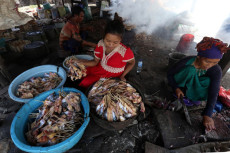 Sentra Ikan Bulak Surabaya...