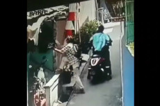 Cucak Ijo Disikat Maling...