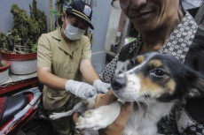 Cegah Rabies, Sudin...