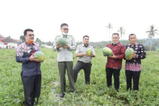 Sinergikan Program Pertanian...