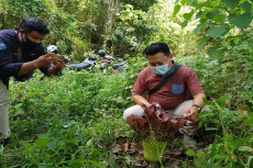 Warga Temukan Bunga...