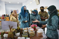Ketua TP PKK Novita...