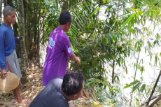 Khawatir Ditambang dengan...