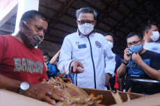 Selayar Disiapkan Jadi...