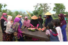 Lahan Kering Ini Ditanami...